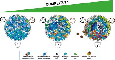 Combining preclinical tools and models to unravel tumor complexity: Jump into the next dimension